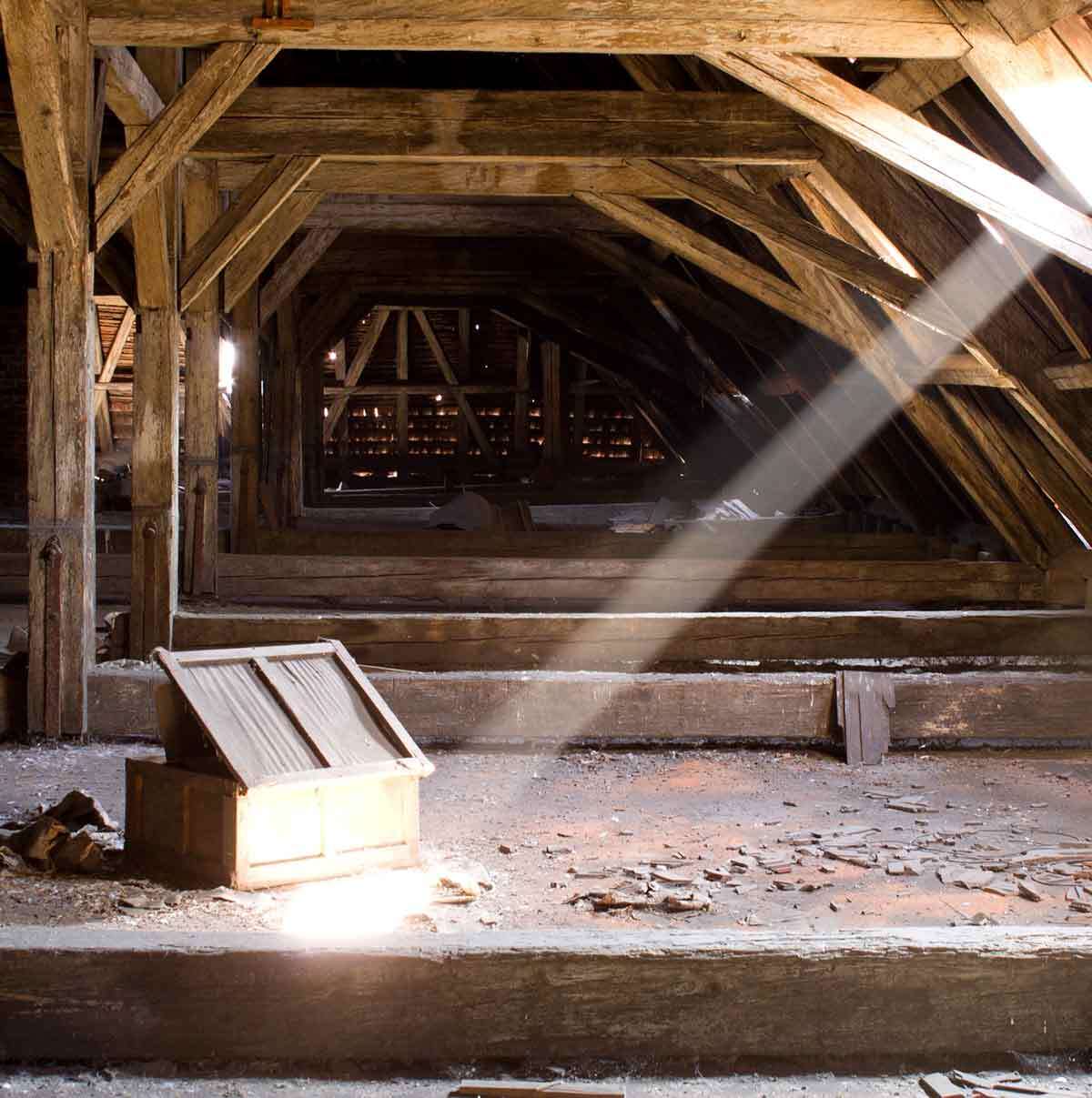 Attic Cleaning Kansas City