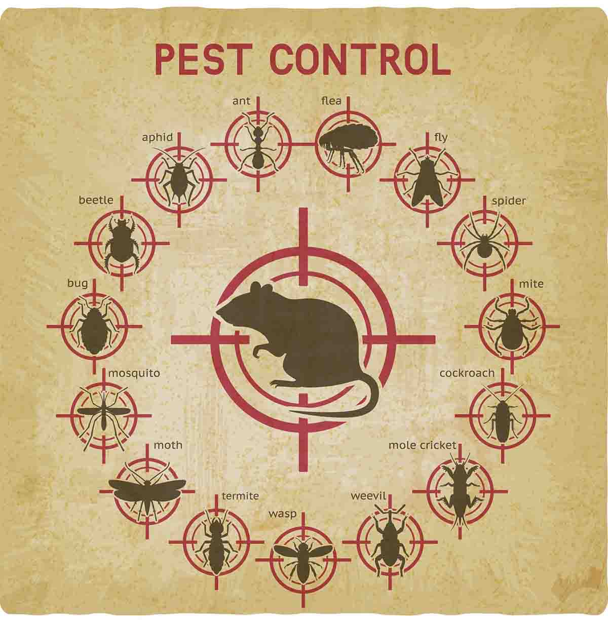 Pest Control Kansas City